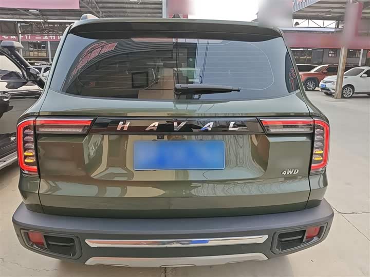 Фото 6 - Haval Dargo