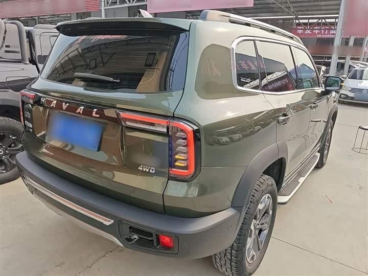 Фото 7 - Haval Dargo