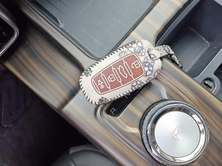 Фото 9 - Haval Dargo