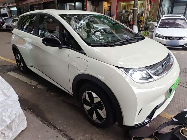 Фото 4 - BYD Dolphin