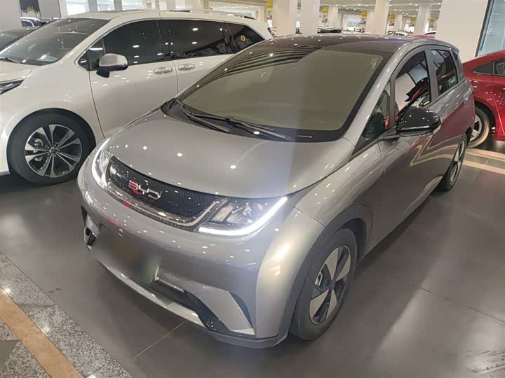 Фото 2 - BYD Dolphin