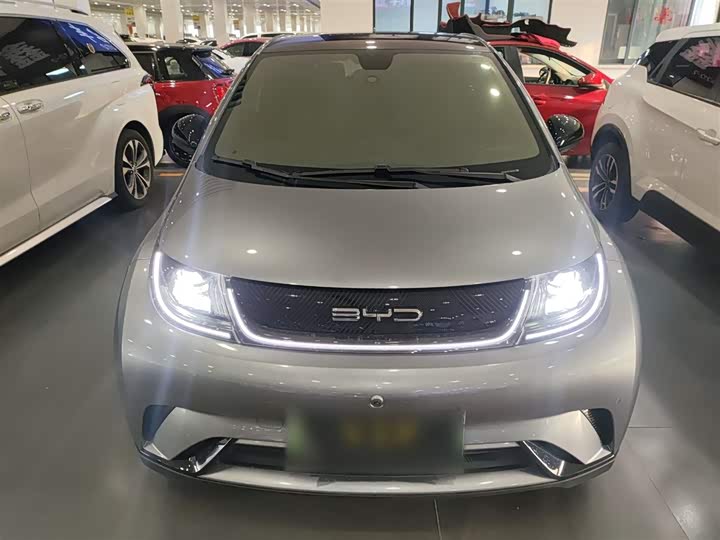 Фото 3 - BYD Dolphin