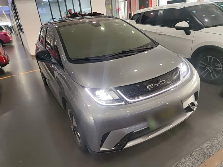 Фото 4 - BYD Dolphin