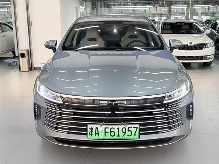 Фото 2 - BYD Destroyer 05