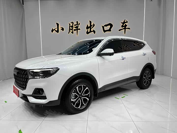 Фото 1 - Haval H6