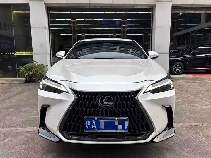 Фото 2 - Lexus NX