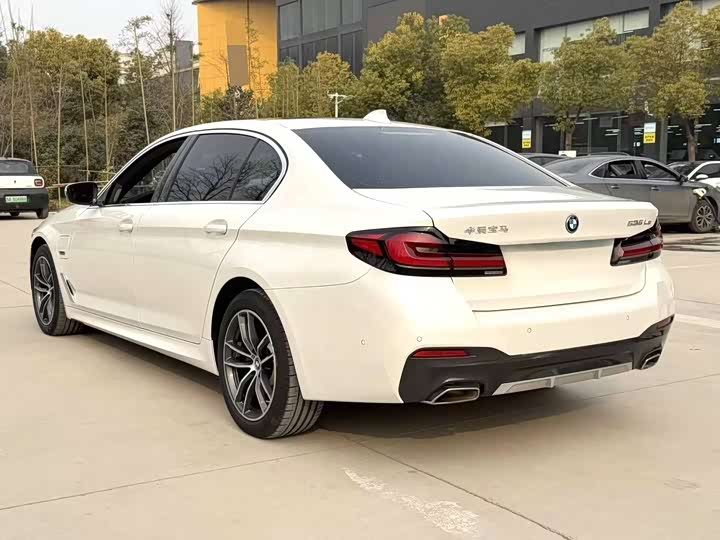 Фото 4 - BMW 5 Series Hybrid