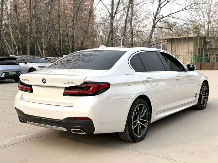 Фото 6 - BMW 5 Series Hybrid