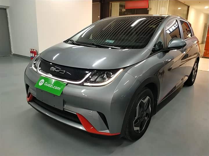 Фото 2 - BYD Dolphin