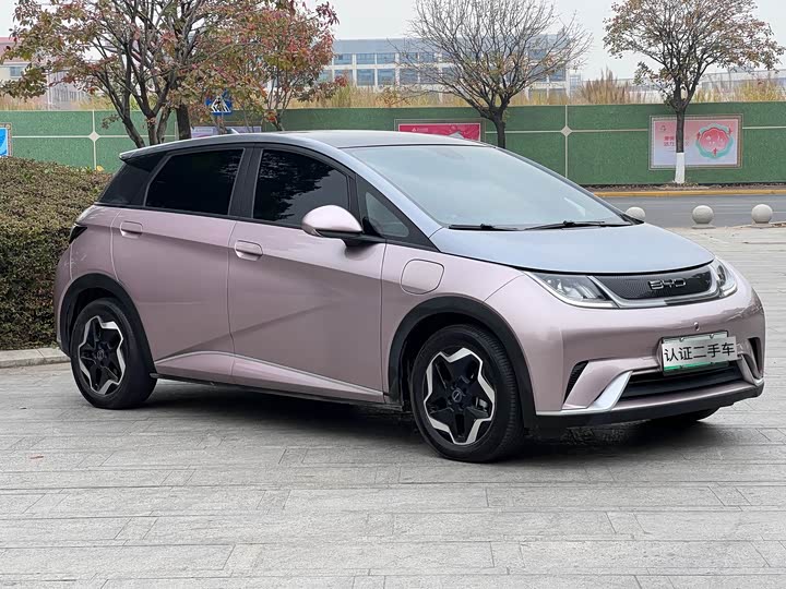 Фото 3 - BYD Dolphin