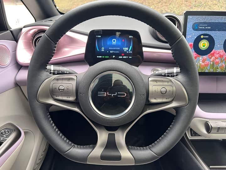 Фото 7 - BYD Dolphin