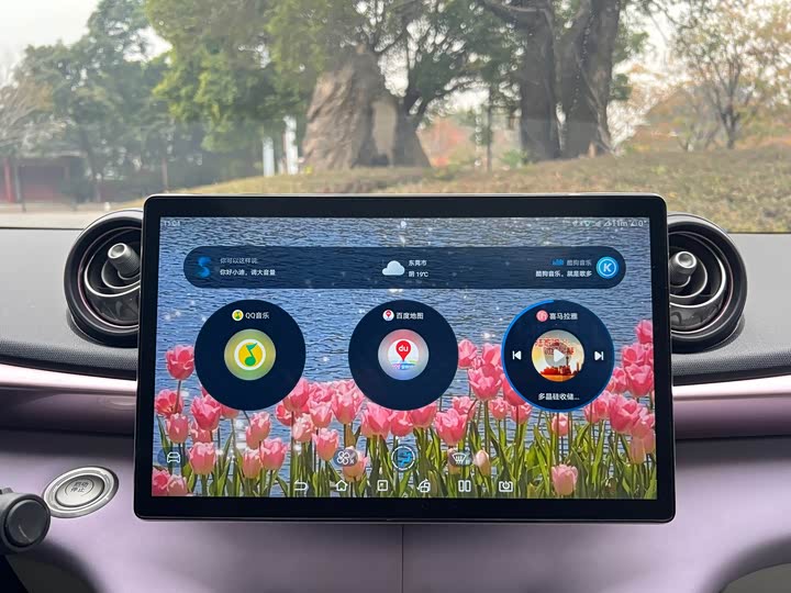 Фото 9 - BYD Dolphin