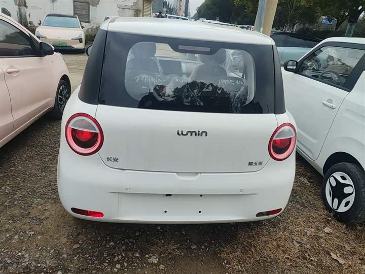 Фото 6 - Changan Qiyuan (Nevo) Lumin