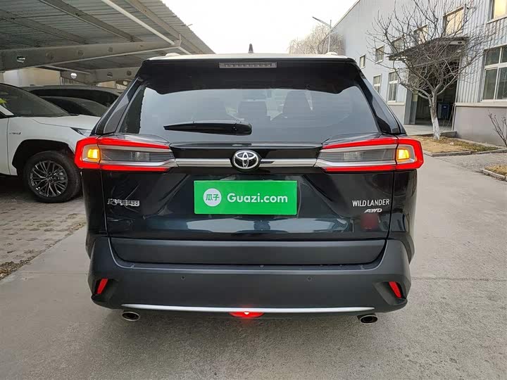 Фото 6 - Toyota Wildlander