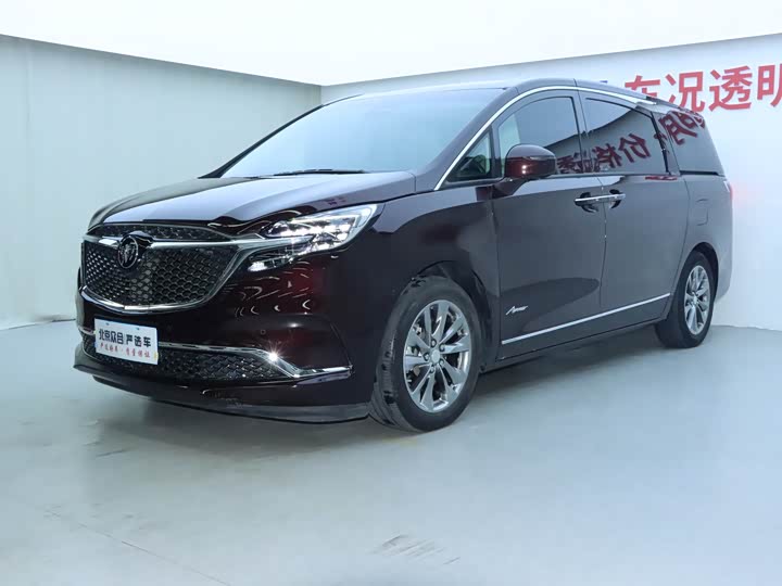 Фото 1 - Buick GL8 ES