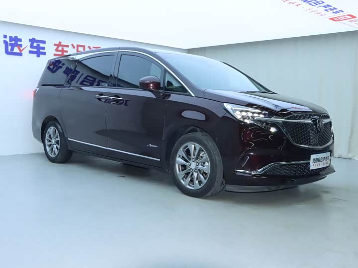 Фото 2 - Buick GL8 ES