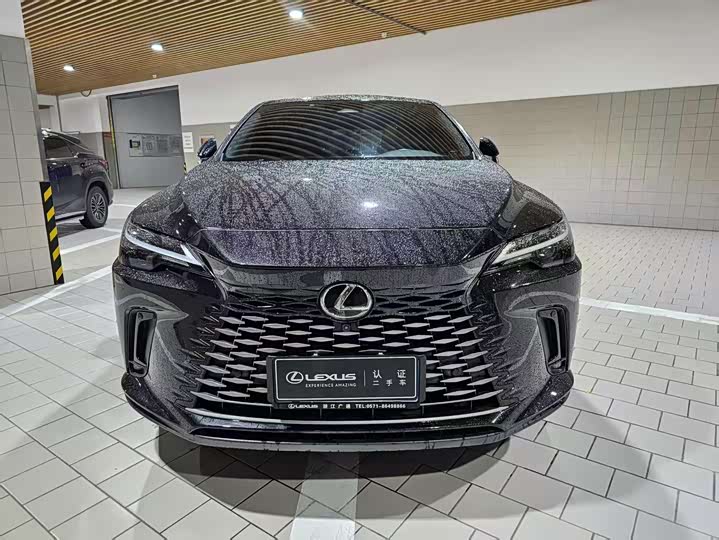 Фото 2 - Lexus RX