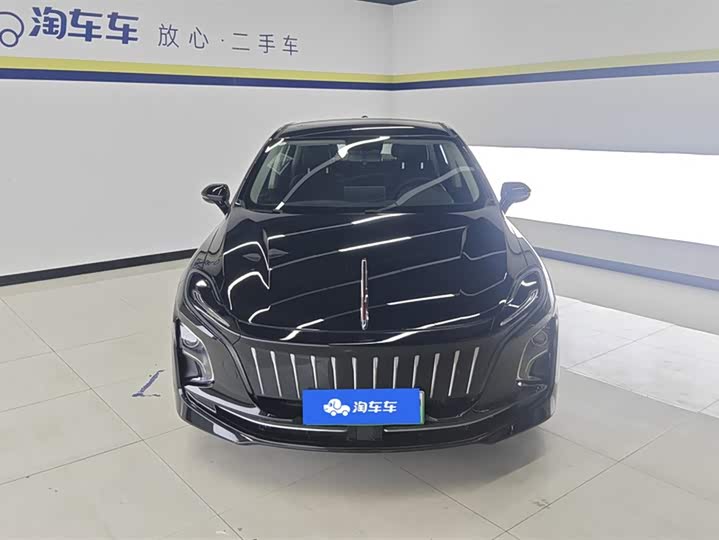 Фото 2 - Hongqi E-QM5