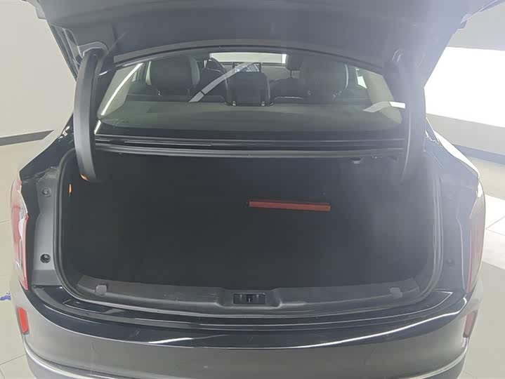 Фото 4 - Hongqi E-QM5