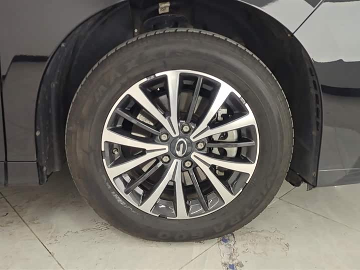 Фото 6 - GAC Trumpchi M8