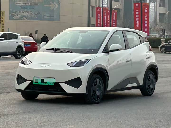 Фото 1 - BYD Seagull