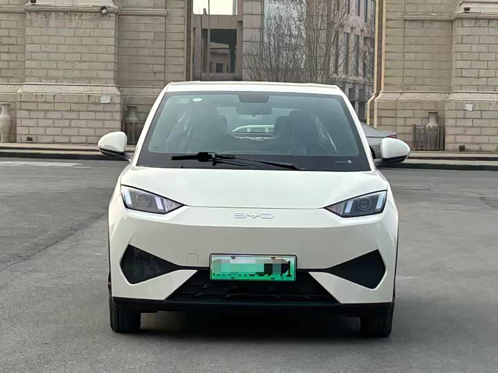 Фото 2 - BYD Seagull