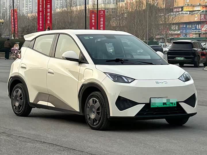 Фото 3 - BYD Seagull