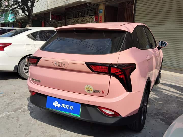 Фото 3 - Hozon V