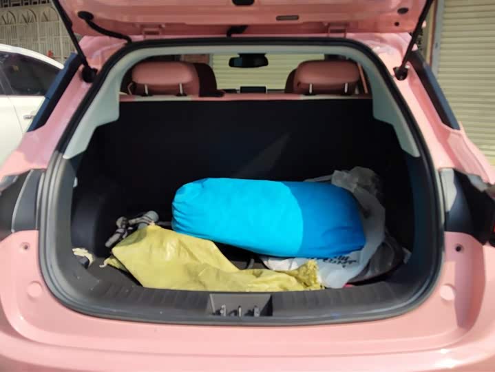 Фото 4 - Hozon V