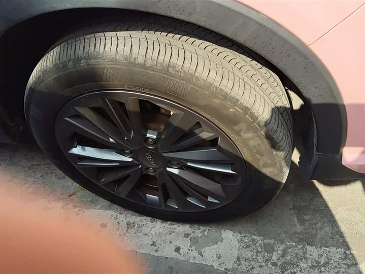 Фото 6 - Hozon V