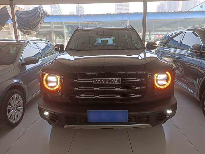 Фото 3 - Haval Dargo