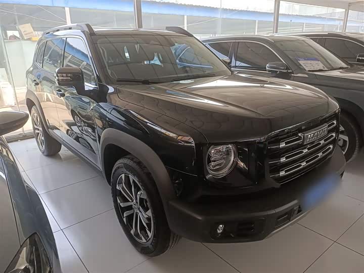 Фото 4 - Haval Dargo