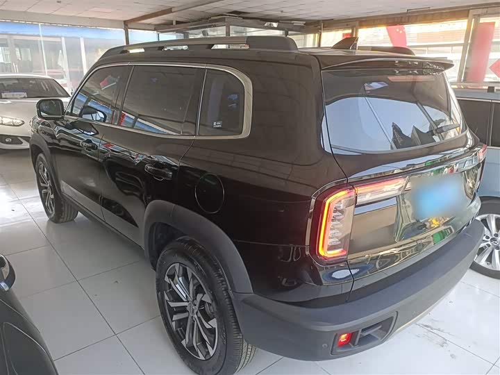 Фото 5 - Haval Dargo