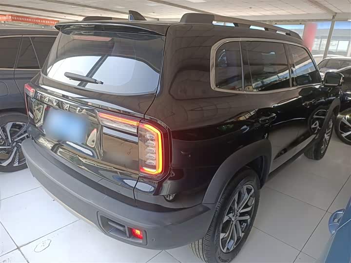 Фото 7 - Haval Dargo