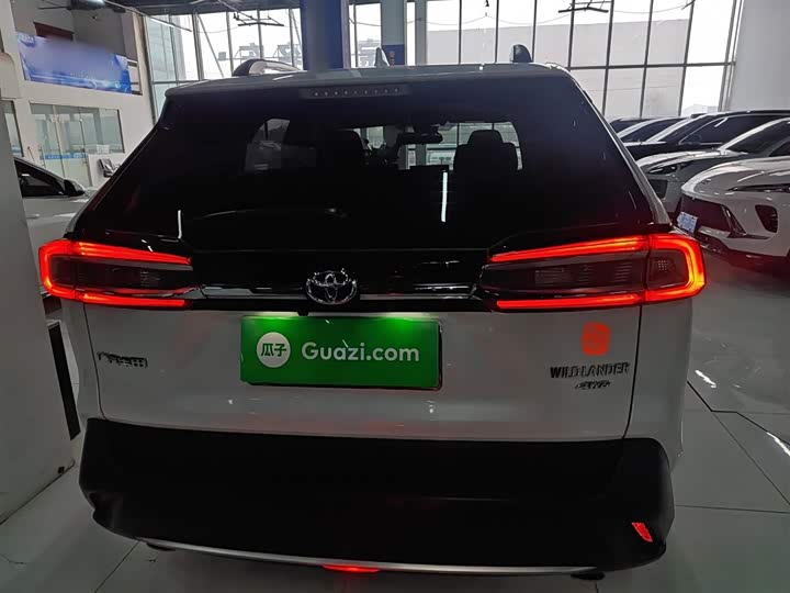 Фото 6 - Toyota Wildlander