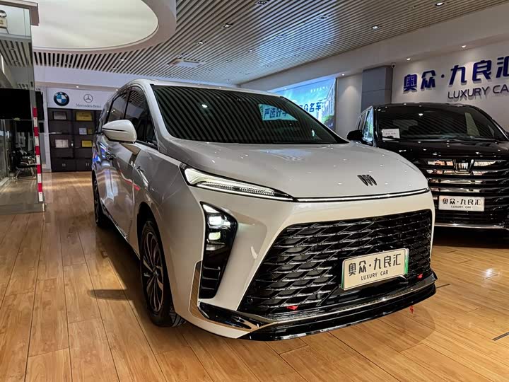 Фото 3 - Buick GL8 Hybrid