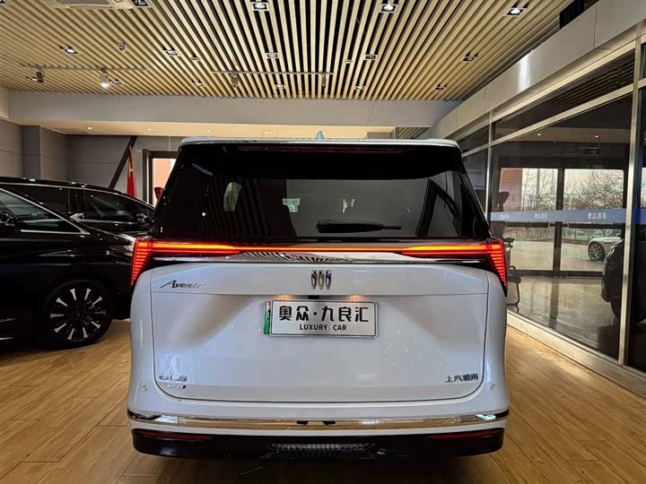 Фото 5 - Buick GL8 Hybrid