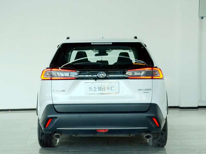 Фото 9 - Toyota Wildlander