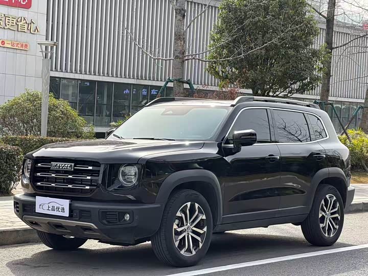 Фото 1 - Haval Dargo