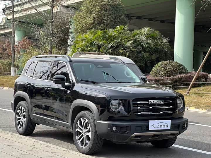 Фото 3 - Haval Dargo