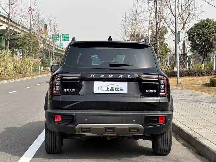 Фото 5 - Haval Dargo