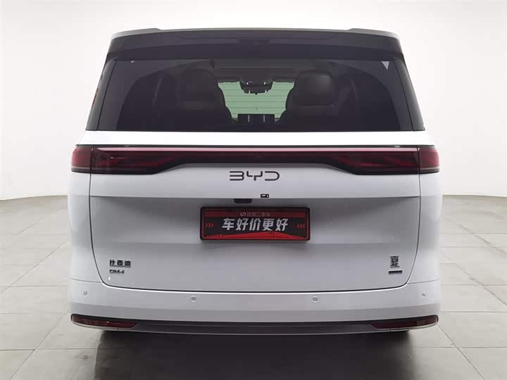 Фото 4 - BYD Xia