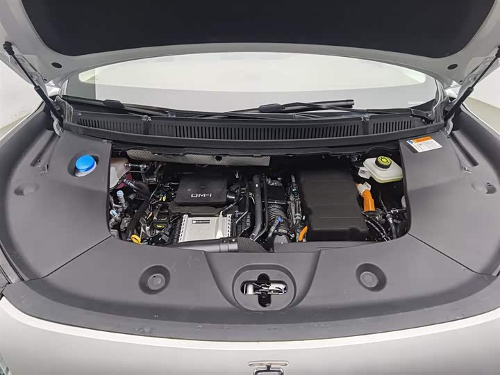 Фото 6 - BYD Xia