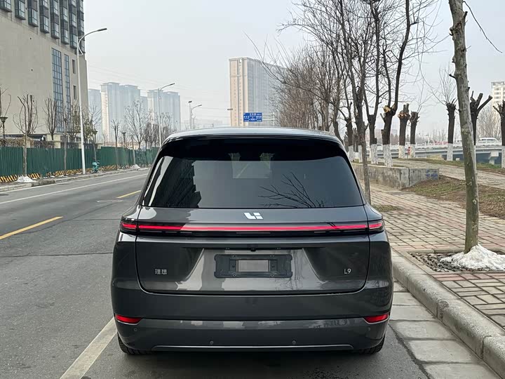 Фото 8 - LiXiang L9