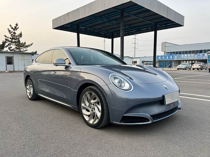 Фото 3 - Ora Lightning Cat (07)