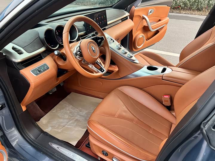 Фото 8 - Ora Lightning Cat (07)