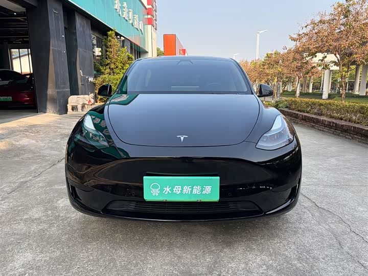 Фото 2 - Tesla Model Y