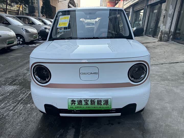 Фото 2 - Geely Galaxy Panda Mini