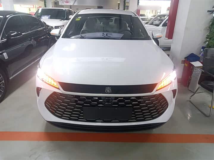 Фото 5 - BYD Qin Plus