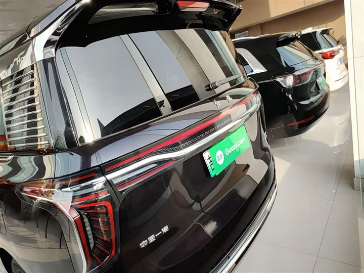 Фото 6 - Hongqi HQ9 Hybrid